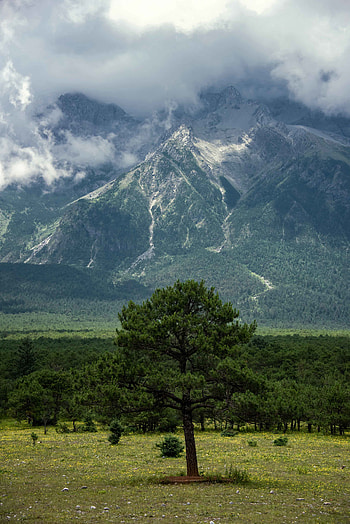 Nature, Clouds, Mountain, Wood, Forest, Tree HD phone wallpaper