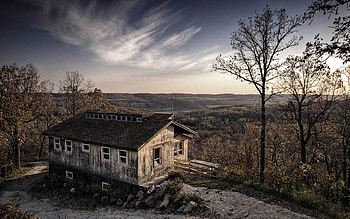 lonely house, grass, forest, house, tree HD wallpaper