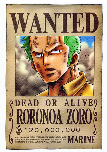 Faraddina's Favorite Things: Onepiece Wanted Poster. One piece , One piece luffy, One piece manga, Zoro Bounty HD phone wallpaper
