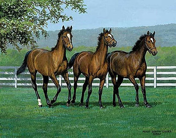 By Persis Clayton, animal, horse, persis clayton, painting, art, grass HD wallpaper