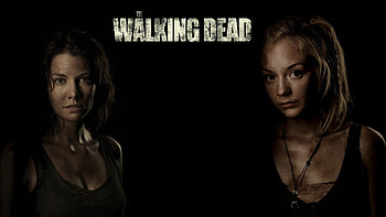 The Walking Dead, Tv Show HD wallpaper