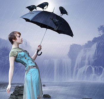✫Guests Strange✫, umbrella, guests, birds, emotional, cute, colors, digital art, animals, bright, ravens, female, rain, beautiful, stranges, crows, pretty, light, manipulation, cool, waterfall, models, girls, women HD wallpaper