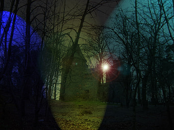 castle, blue, trees, lights HD wallpaper