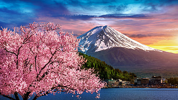 fuji, Mount Fuji, Japan, spring HD wallpaper