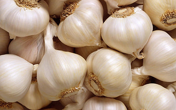 Garlic , Top , Backgrounds, Food HD wallpaper