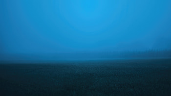 Mist Trees Fog , mist, trees, fog, nature HD wallpaper
