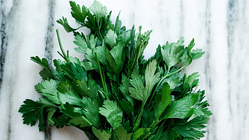 Parsley herb, Ultimate guide, Herbs and their uses, Expert advice HD wallpaper