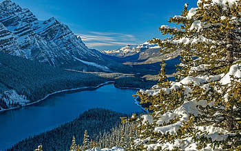 Peyto Lake, Banff NP, Alberta, winter, snow, trees, clouds, landscape, sky, canada, mountains HD wallpaper