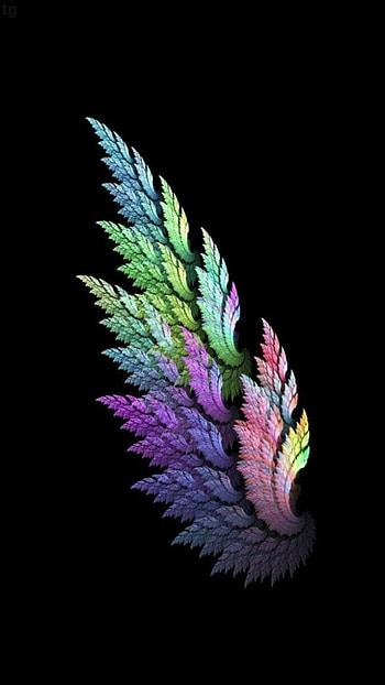 Gokul, feather, magenta HD phone wallpaper