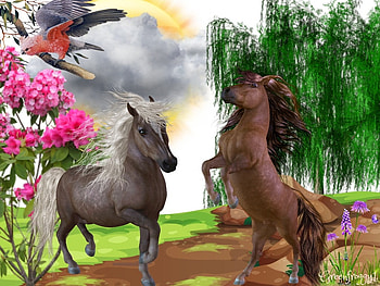 TWO LITTLE PONIES, CUTE, CREATION, PONIES, TWO HD wallpaper