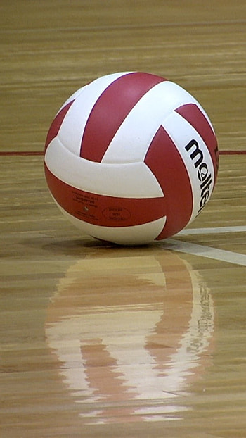 Volleyball, Volleyball Club HD phone wallpaper