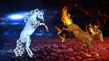 Fire & Ice, cool, warm, beauty HD wallpaper