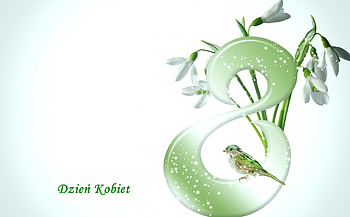 Dzien Kobiet, Kwiaty, Dzien, Osemka, Kobiet HD wallpaper