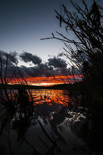 Nature, Sunset, Grass, Sky, Usa, Lake, United States, Yellowstone National Park HD phone wallpaper