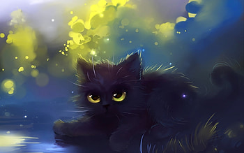 Black kitten, animal, kitten, cat, black HD wallpaper