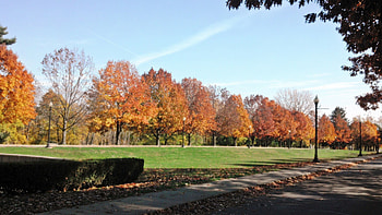 Autumn Lane, beautiful fall, beautiful autumn day, purple tree, beautiful fall scenery, fall bridge, red trees, purple autumn, fall day, autumn foliage, orange tree, fall leaves, autumn colors, fall forest, fall colors, fall land, beautiful autumn, autumn day, purple fall, new england fall colors, autumn forest, pink autumn, fall road, pink fall, autumn landscape, autumn scenery, fall foliage, autumn bridge, autumn, beautiful fall day, autumn lake, fall, fall scenery, beautiful autumn scenery, autumn leaves, fall lake, new england, fall trees, autumn trees HD wallpaper