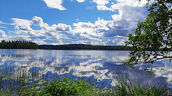 Lake in central Finland, sky, water, reflections, scandinavia, clouds, trees HD wallpaper