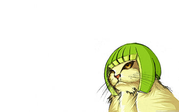 Cat, animal, hat, green HD wallpaper