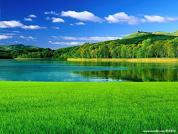 Green Grass, trees, sky, nature, grass, water HD wallpaper