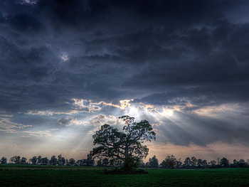 Landscape, Trees, Sky, Art HD wallpaper