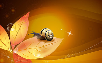 Background, Snails HD wallpaper