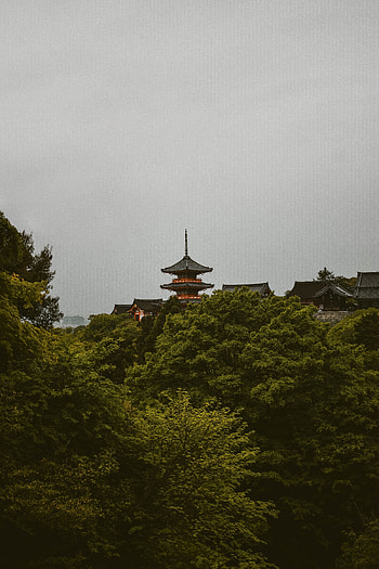 Nature, Trees, Architecture, Pagoda, Japan, Kyoto Prefecture, I'm A Pony HD phone wallpaper