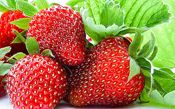High-definition , Vibrant colors, Crisp detail, Stunning visuals HD wallpaper