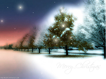 Christmas, landscape, snow, tree, sunset HD wallpaper