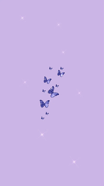 . Butterfly , Pretty , Aesthetic , Cute Light Purple HD phone wallpaper