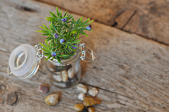 Stones, Bank, Flower, Plant, Miscellanea, Miscellaneous, Jar HD wallpaper