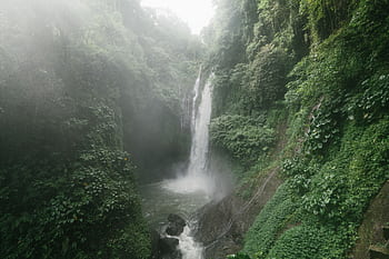 Capture of the breathtaking Aling Aling waterfall surrounded by lush greenery. HD wallpaper
