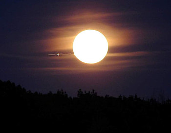 Rising Full Moon, night, white, sky, moon HD wallpaper