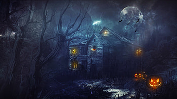 Spooky Forest HD wallpaper