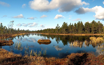 Landscape, Nature, Grass, Autumn, Clouds, Lake, Reflection, Forest, It's A Sly, Withered, Island, Shadows, October, Islet HD wallpaper
