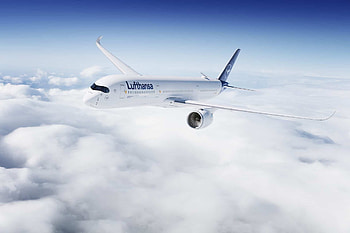 Lufthansa Group employees, CO2 neutral, Business trips HD wallpaper
