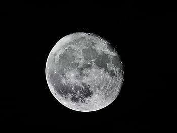 Detailed monochrome graph of the full moon against a dark night sky, revealing craters and lunar surface. HD wallpaper