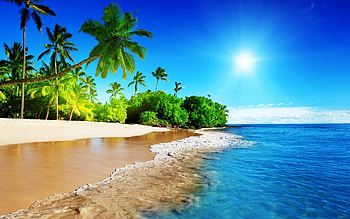 Good PixelsTalk Good Morning Christmas Day Wishes or Messages HD wallpaper