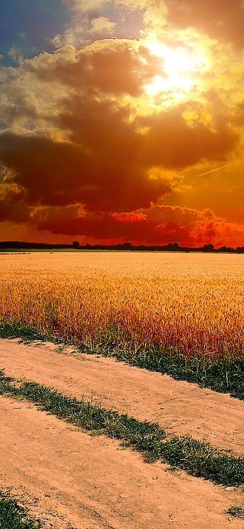 Hot sunny day, Country farm landscape, Clouds , X HD phone wallpaper