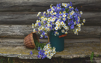 Summer Bouquet, still life, basket, bouquet, cornflowers, daisies HD wallpaper