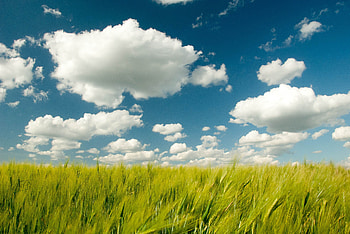 Nature graphy, clouds, nature, graphy HD wallpaper