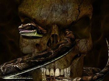 Visiting Hour, snake, skull with eyes HD wallpaper