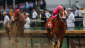 Maximum Security, Kentucky Derby HD wallpaper