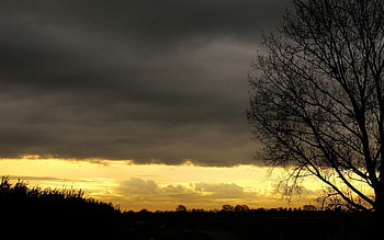 Nature, Sunset, Sky, Twilight, Wood, Tree, Dusk, Outlines, Evening, Shroud HD wallpaper