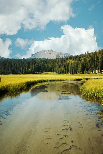 Landscape, Nature, Trees, Grass, Mountains, Lake HD phone wallpaper