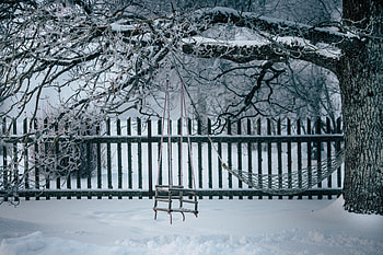 Winter, Nature, Snow, Wood, Tree, Branches, Swing HD wallpaper