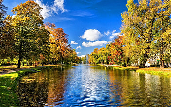 Park, trees, sky, lake HD wallpaper