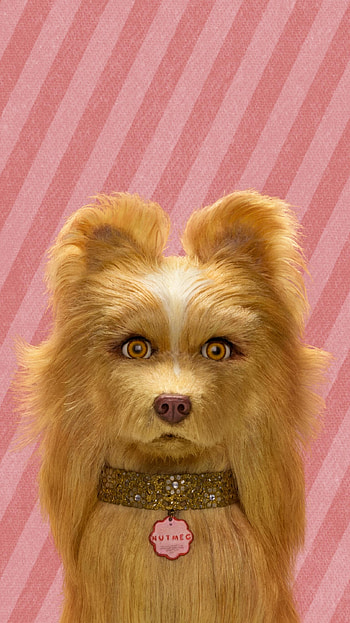 Isle of Dogs (2022) movie HD phone wallpaper