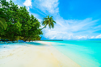 The Maldives, Beach, Sand, Shore, Sea, Palm trees HD wallpaper