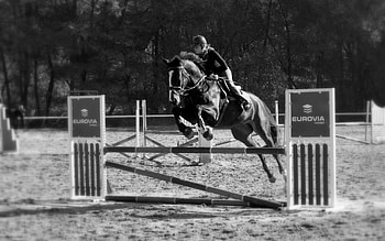 Nadhera, horse, beautiful, people, equestrian, event, competition HD wallpaper