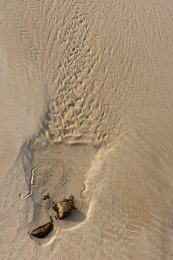 Nature, Beach, Sand, Rock, Stone HD phone wallpaper